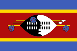 Flag_of_Swaziland.svg.png