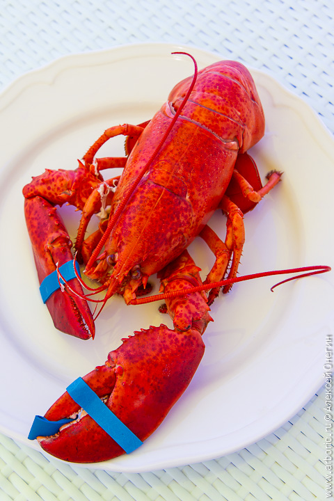 lobster-2.jpg