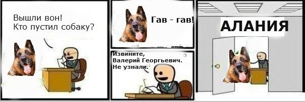 алания.jpg