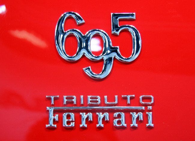 695.jpg
