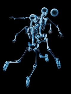 skelety_miach_futbol_11289_240x320.jpg